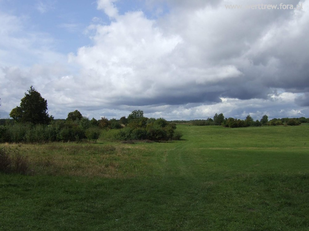 Stalag IB Hohenstein