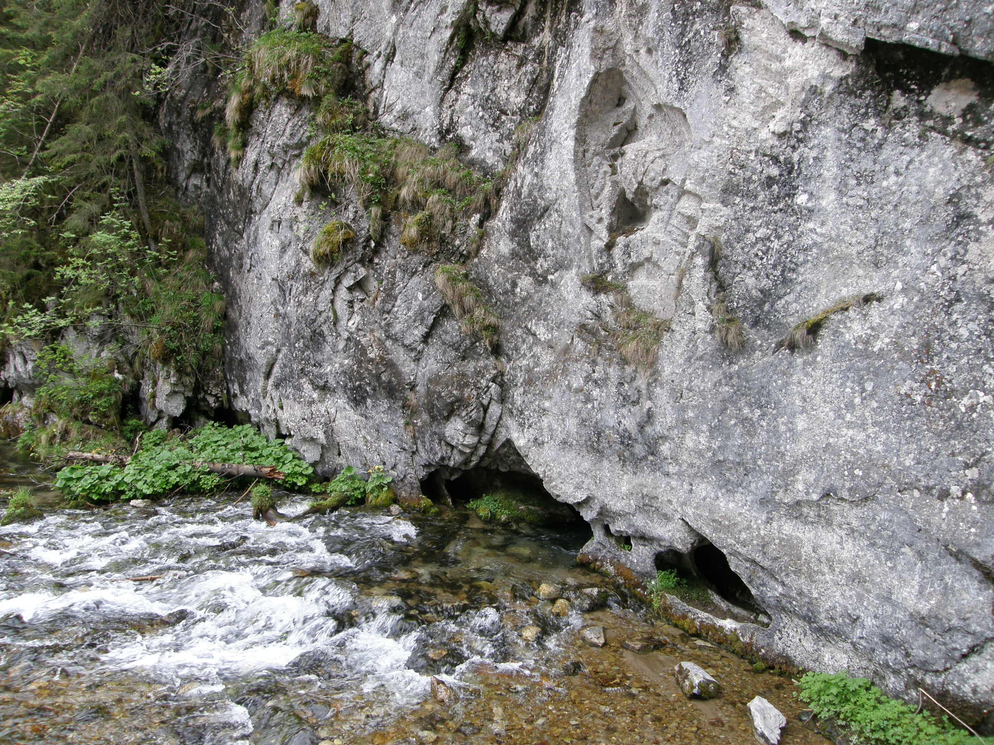 Dolina Kościeliska