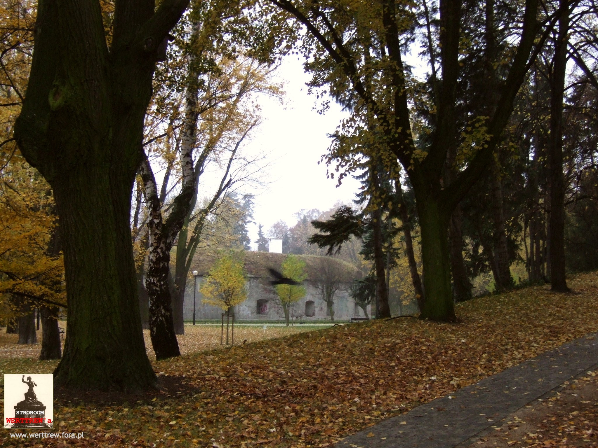 Warszawa 7
