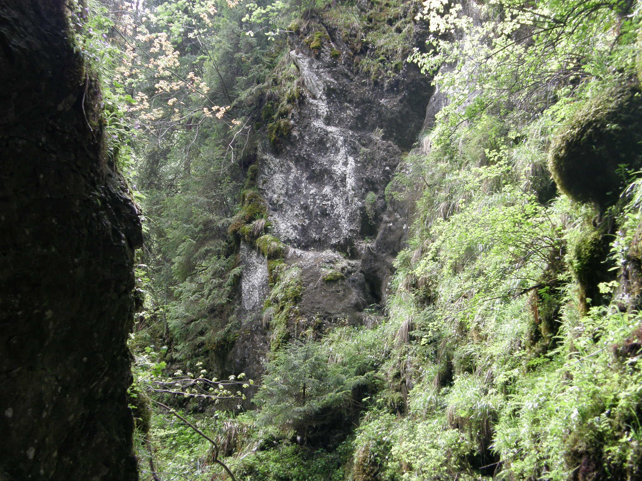 Dolina Kościeliska