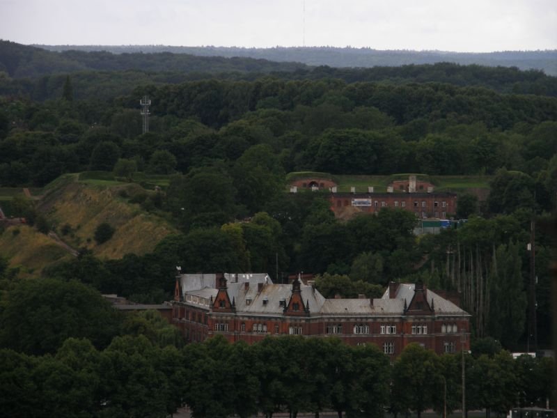 Widok na Grodzisko