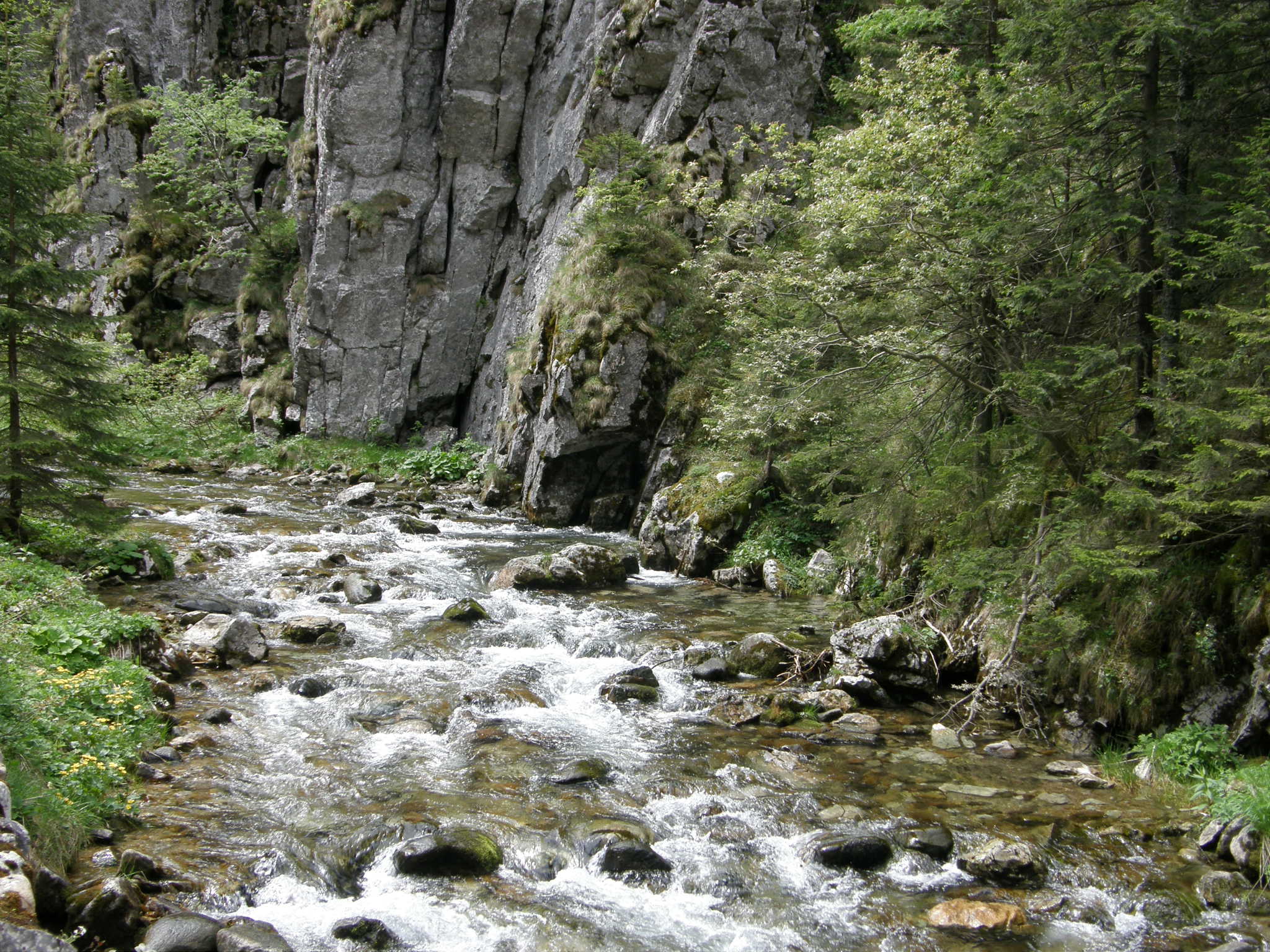 Dolina Kościeliska