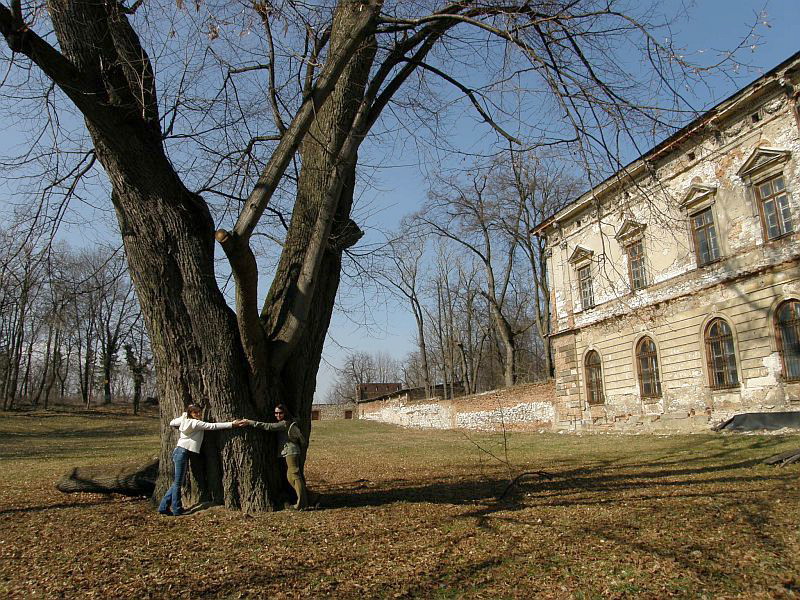 Pałac w Pilicy