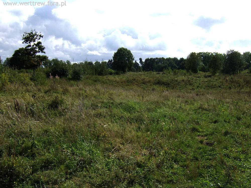 Tannenberg-Denkmal