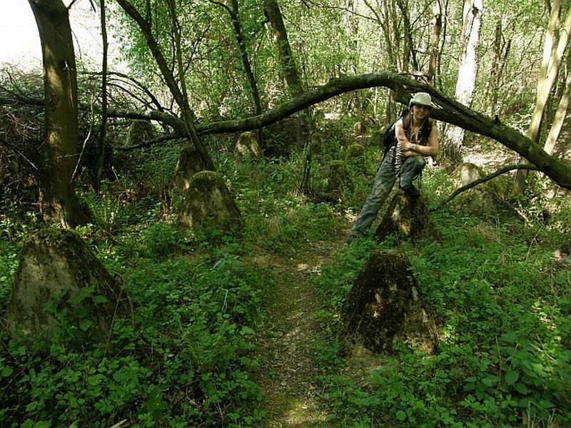 MRU - przy zębach smoka