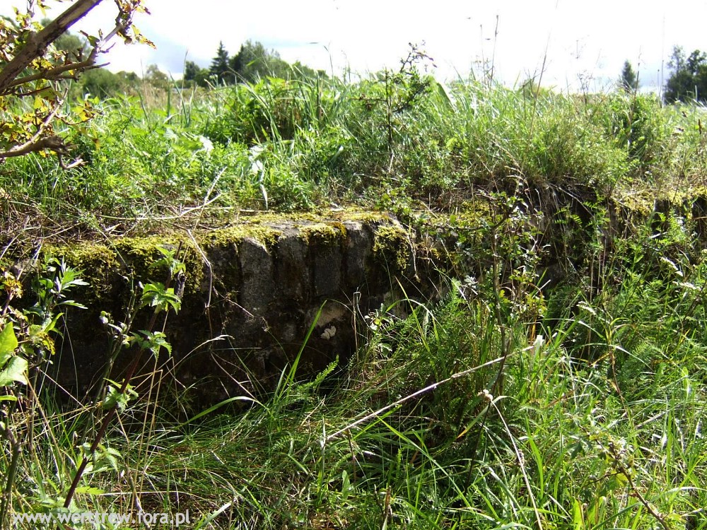 Stalag IB Hohenstein