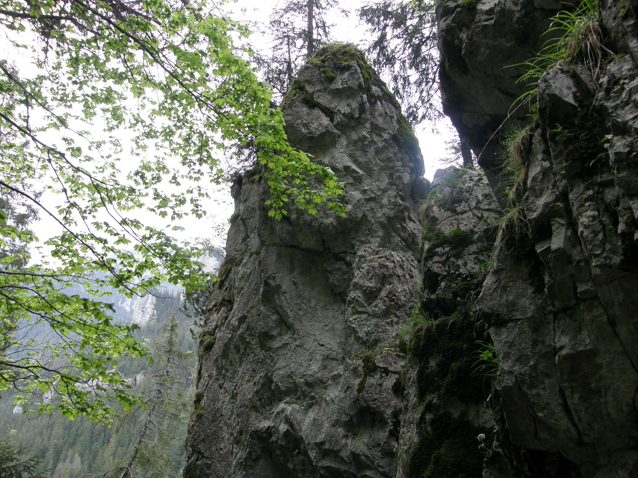 Dolina Kościeliska
