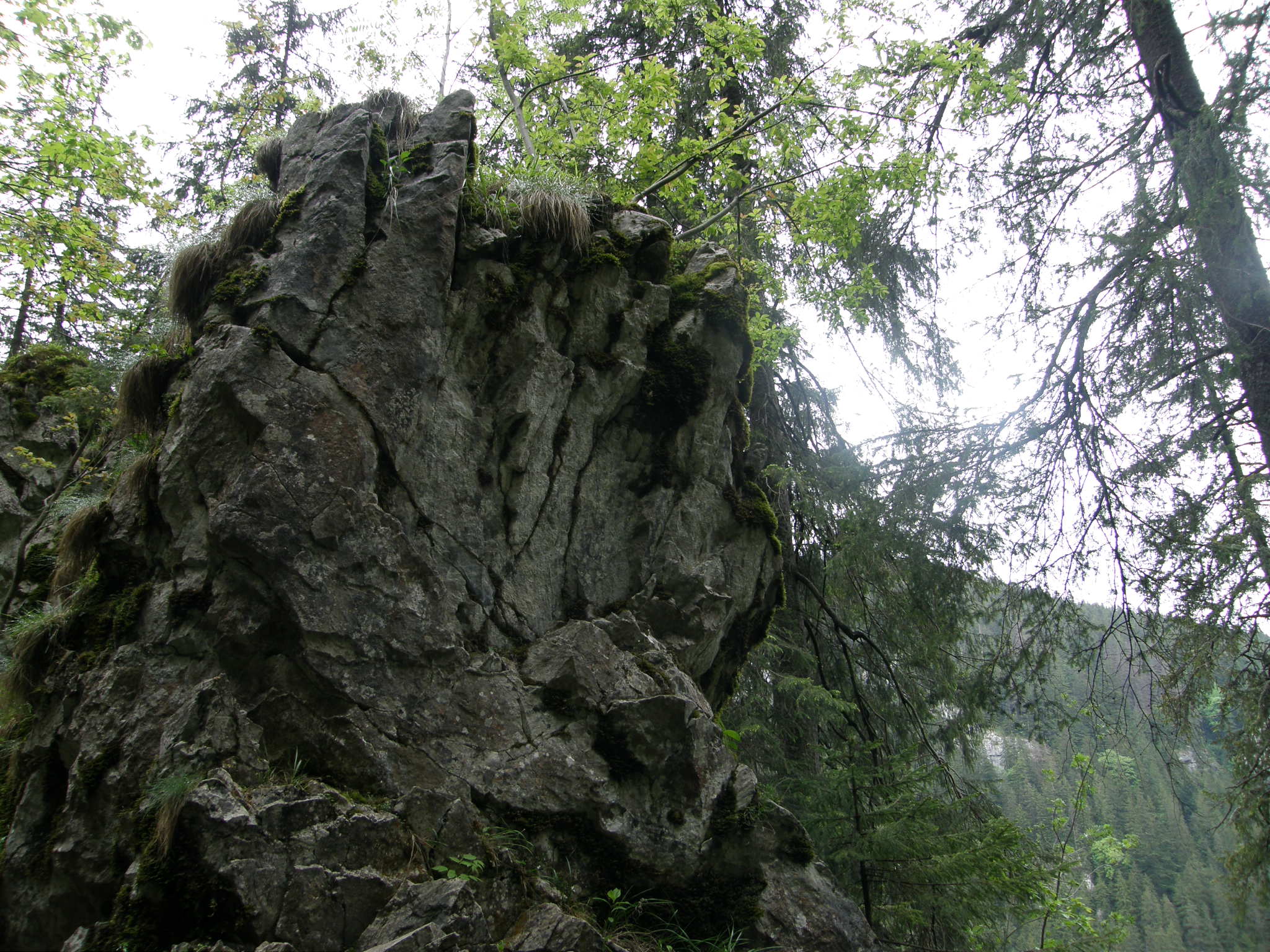 Dolina Kościeliska