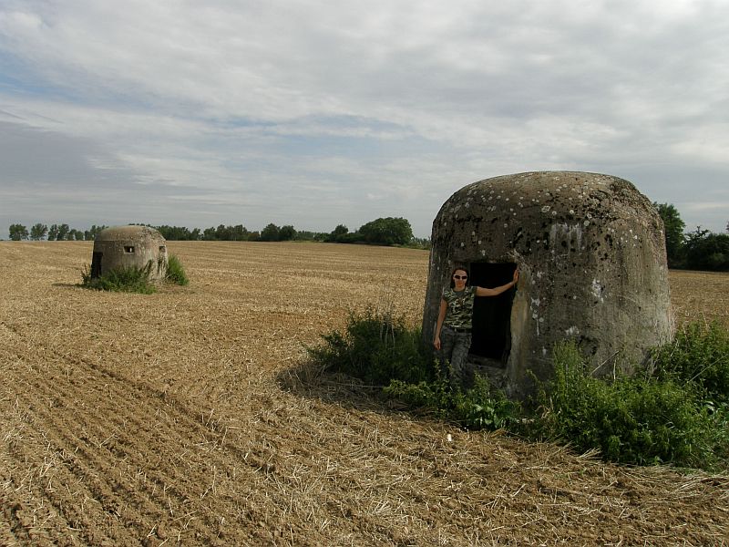Pniewo - kopuły