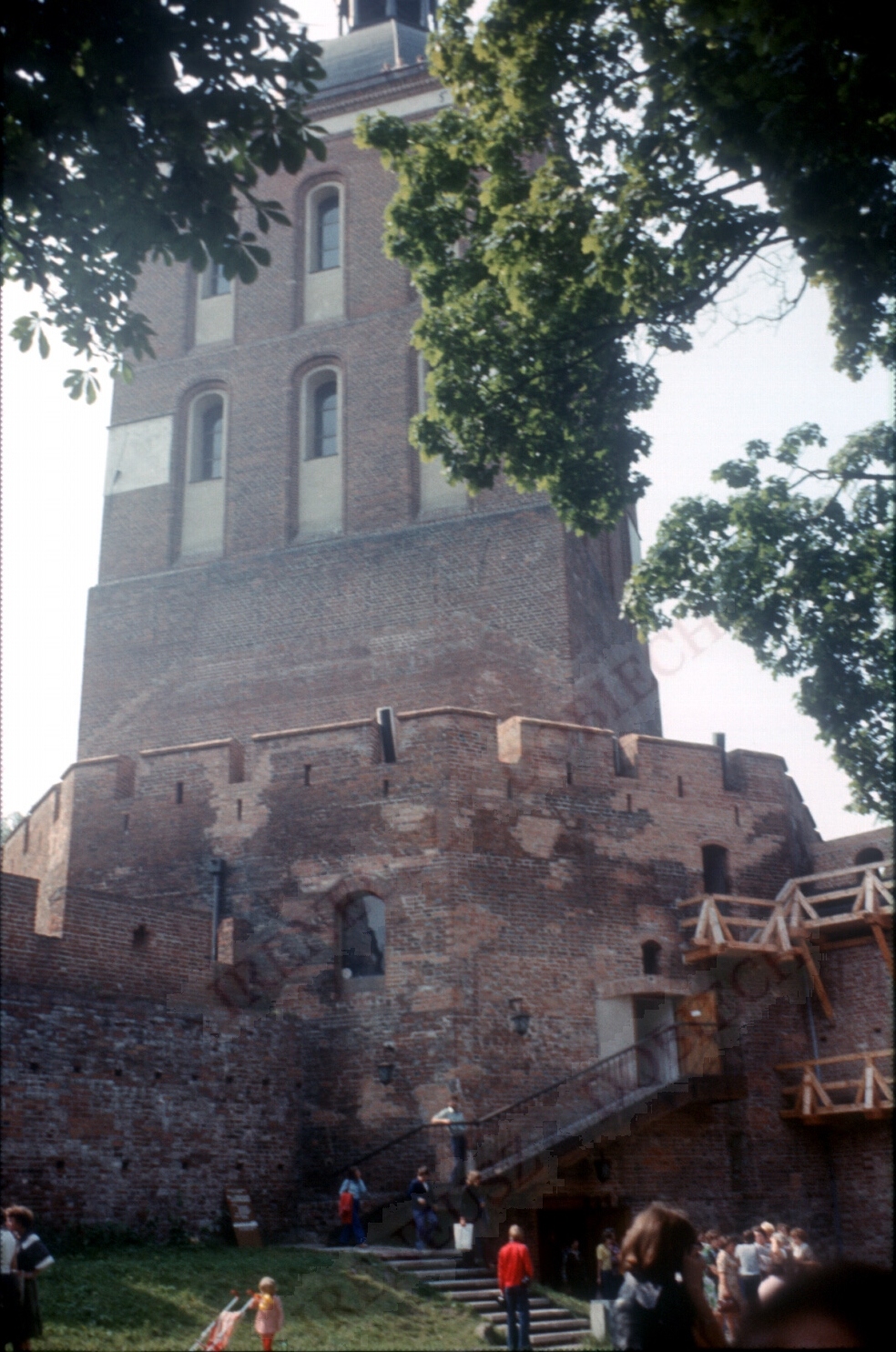 Wieża Frombork